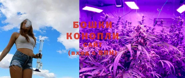 ГАЛЛЮЦИНОГЕННЫЕ ГРИБЫ Алексин