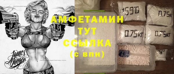 твердый Алзамай