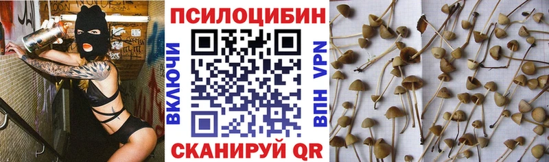 Псилоцибиновые грибы GOLDEN TEACHER MEGA Южа